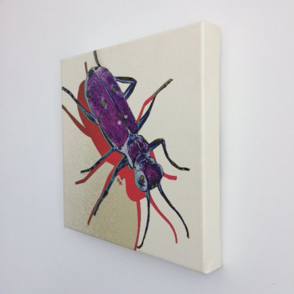 Tiger Beetle - Original Wall Art print on 12 x 12 canvas - Picture 3 of 6